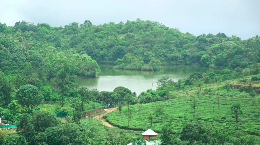 Ann Homestay