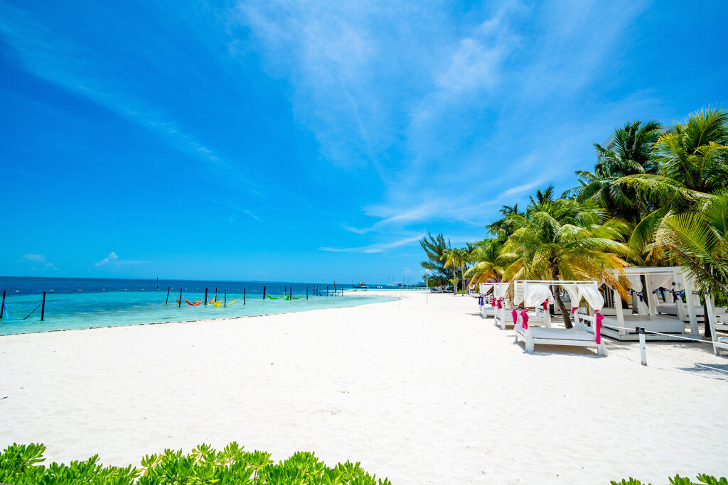 Grand Oasis Palm - All inclusive