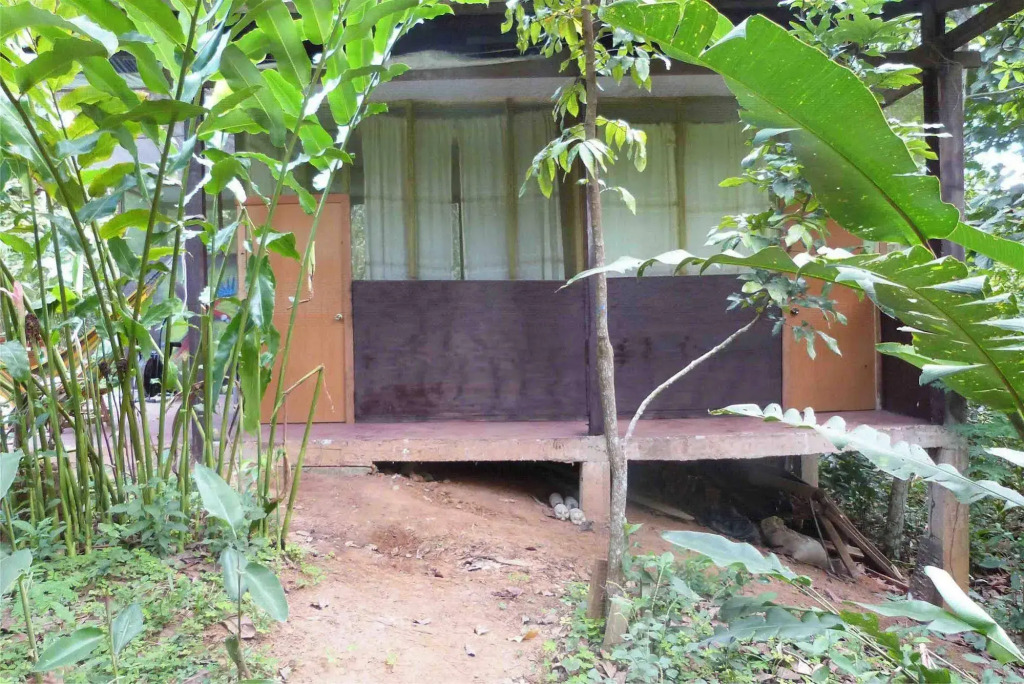 Tarantula Hostel