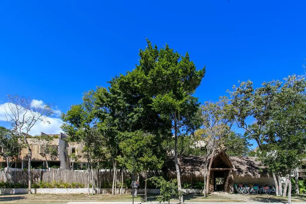 Eco-chic Design Condos Wrapped in Nature's Elements