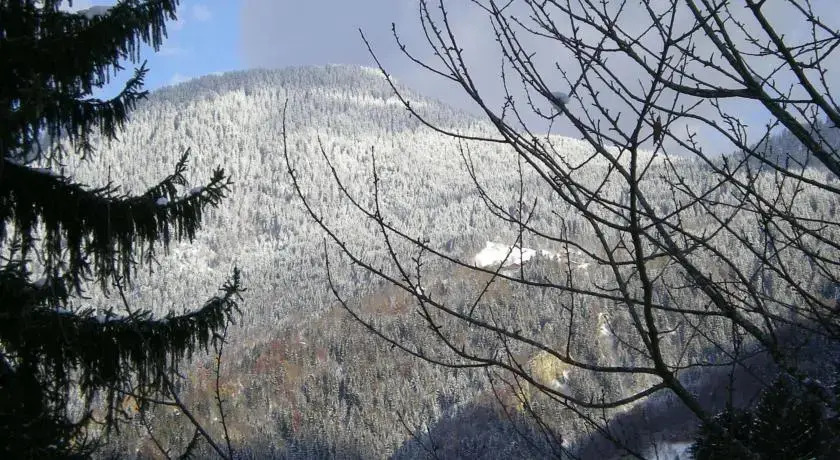 Le Caribou