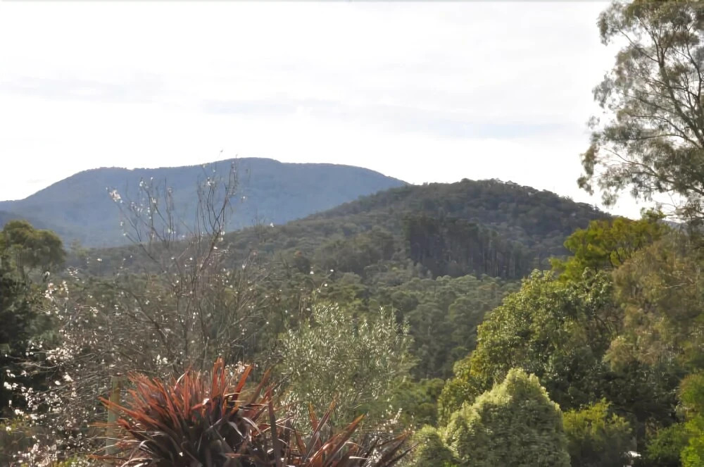 Healesville Maroondah View Motel