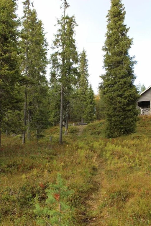 Rukako IHTINGINRINNE