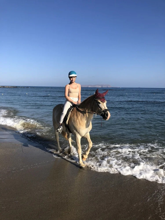 Arion Stables & Apartments