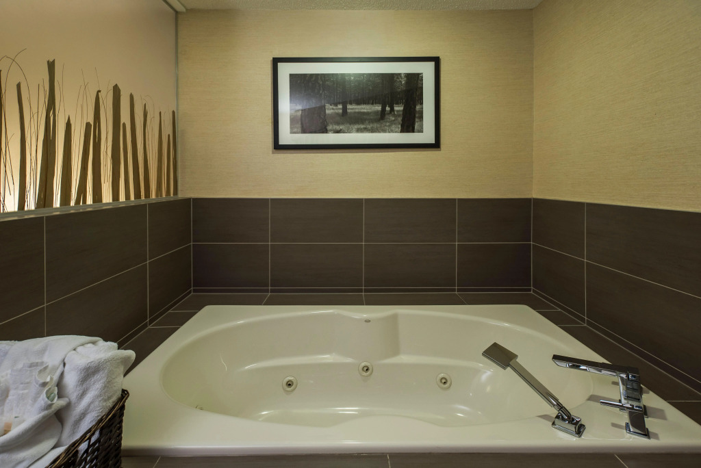 Holiday Inn Lethbridge by IHG
