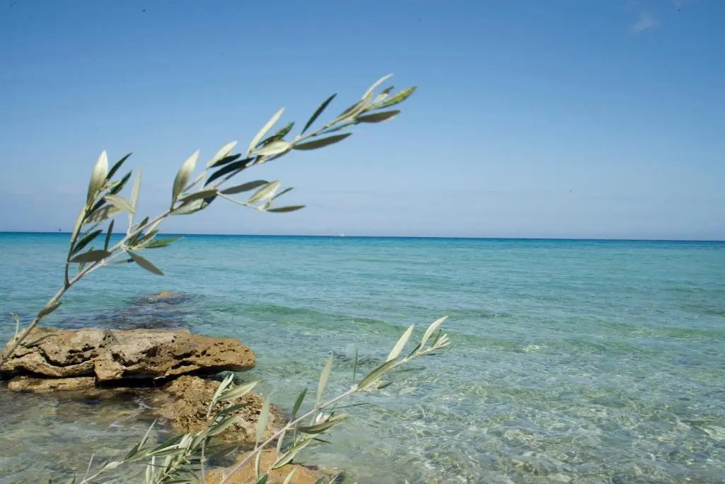 Amboula Beach Apartments