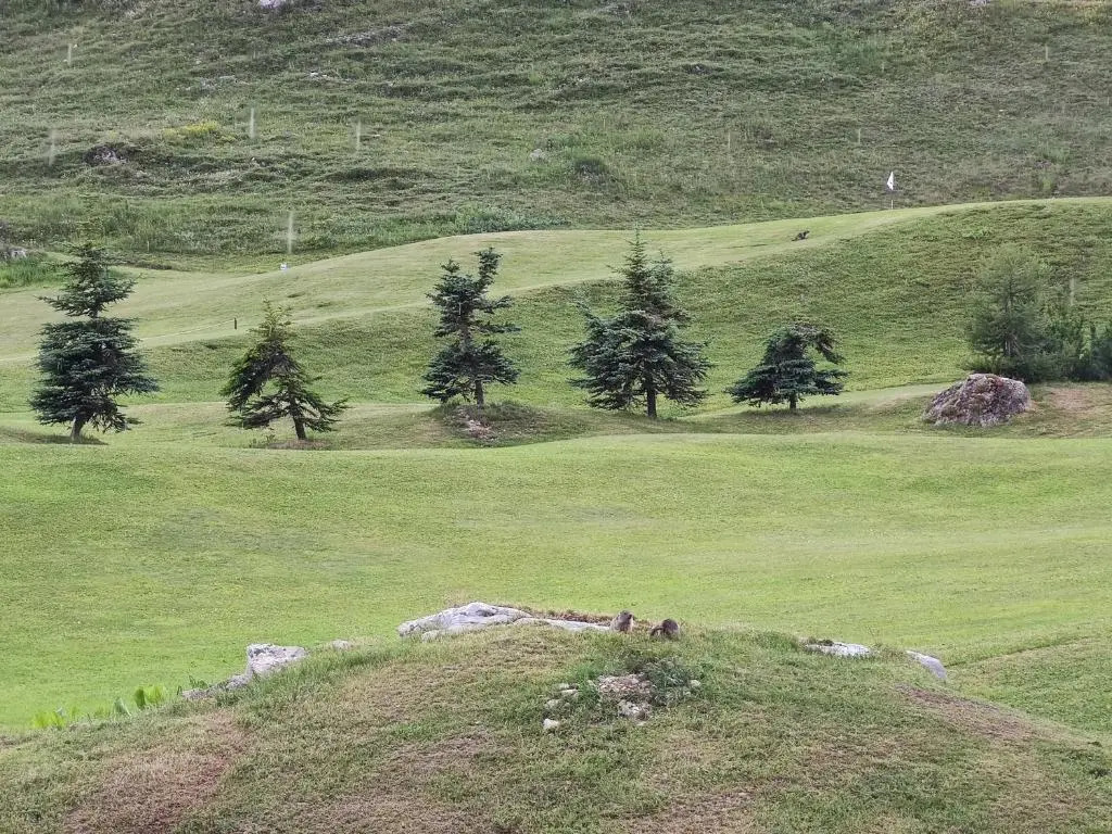 Chalet Club Val Claret 1 46