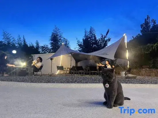 Under Persimmon Trees · Fam&Team Retreat·Pool·Pet Stay (Tonglu OMG Park Branch)