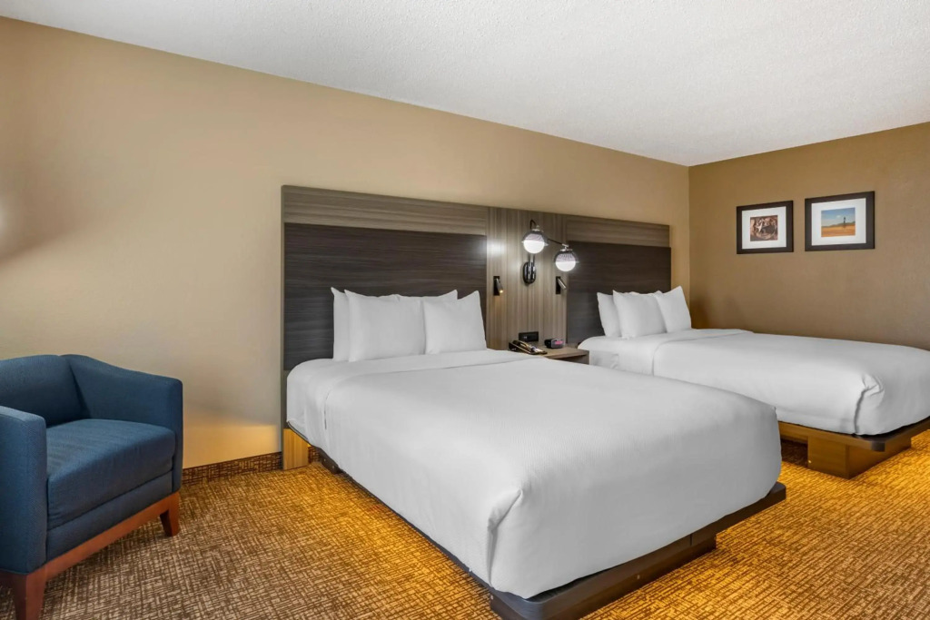 Comfort Inn & Suites North Dallas-Addison