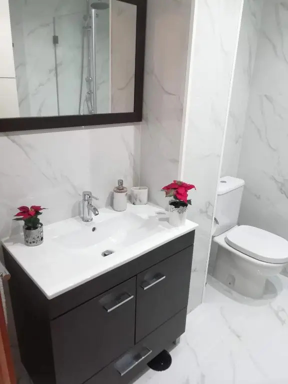 Apartment in the historic center of Porto
