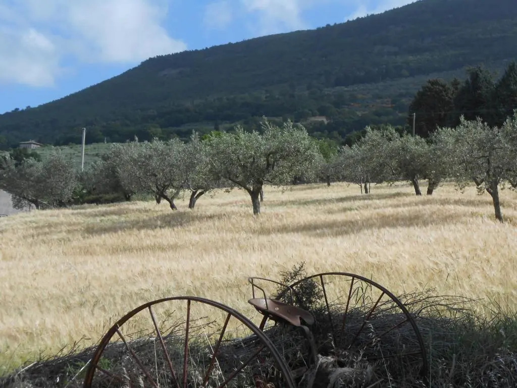 B&B Il Sentiero di Assisi