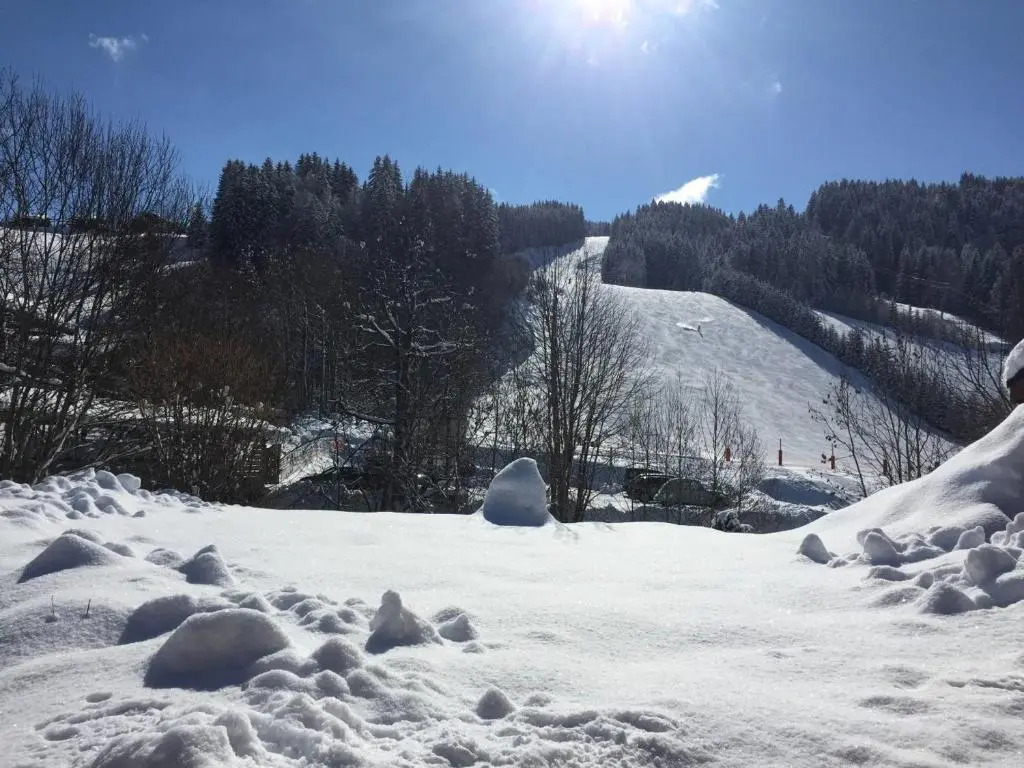 Appartement Les Gets, 5 pièces, 10 personnes - FR-1-454A-8