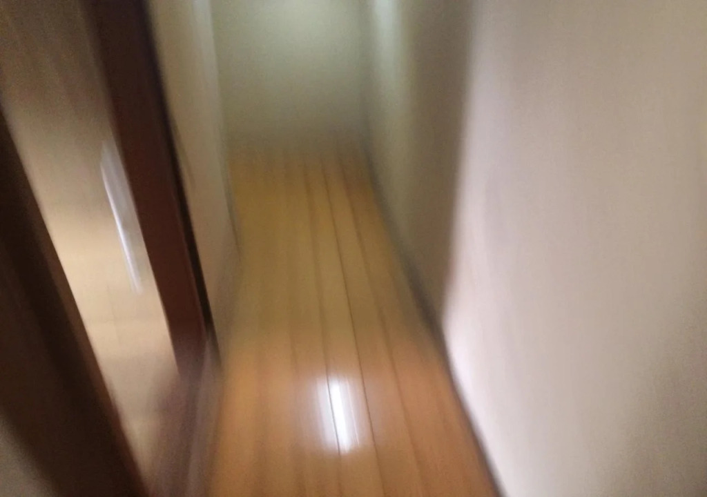 International Guest House Tani House