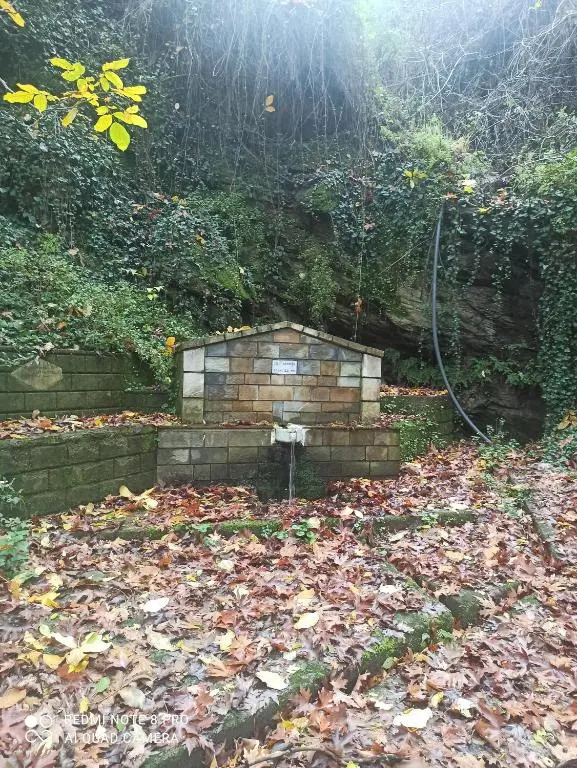 ForestRock Studio FOR SALE TOO