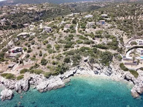 Sofia 1