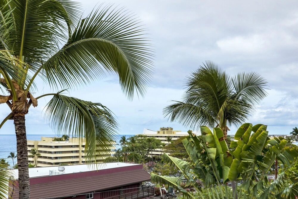 Kona Mansions #a301
