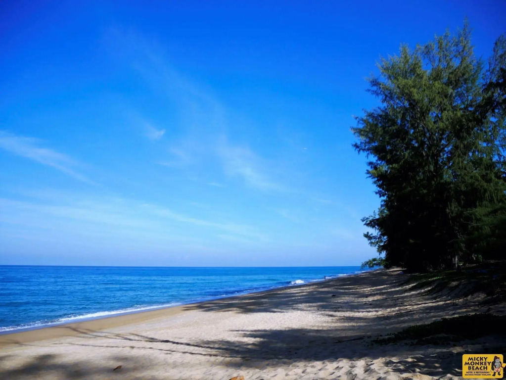 Micky Monkey Beach Hotel Phuket Maikhao Thailand