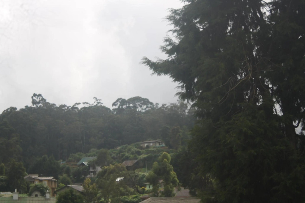 DREAM Hill HOMESTAY NUWARA ELIYA