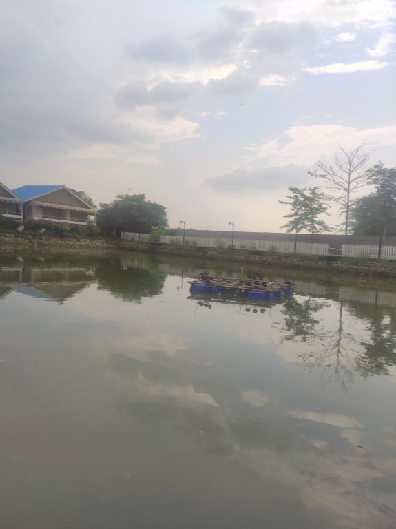Chang's Resort