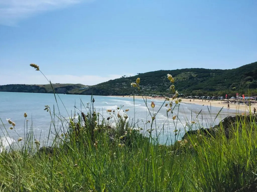 Il gabbiano, attico con terrazzo vista mare