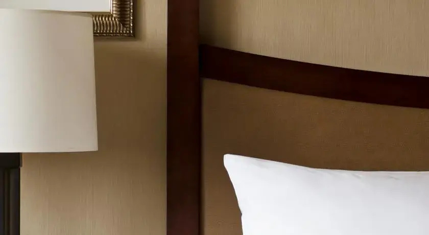 Wyndham Grand Chicago Riverfront
