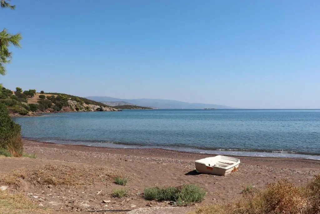 Ioannas 1