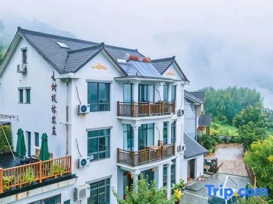 Hangzhou Linan Old Maple Tree Valley-view Hostel