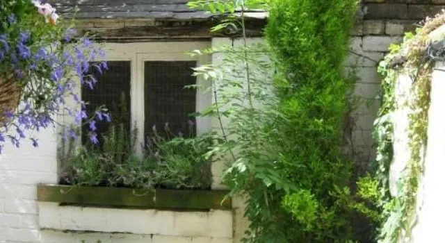 Juliet Cottage