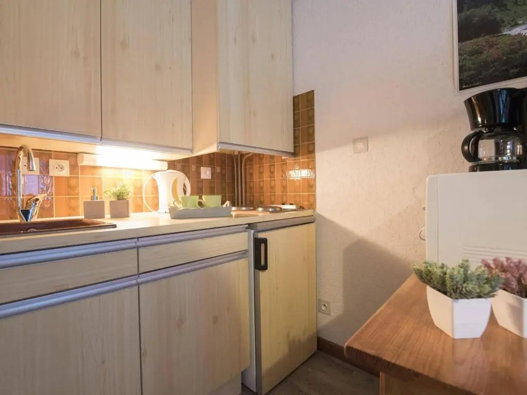Appartement Saint-Lary-Soulan, 1 pièce, 4 personnes - FR-1-296-179