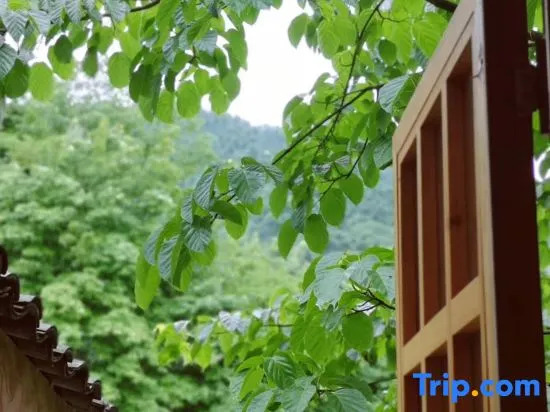 The Micro Hostel Mt. Emei