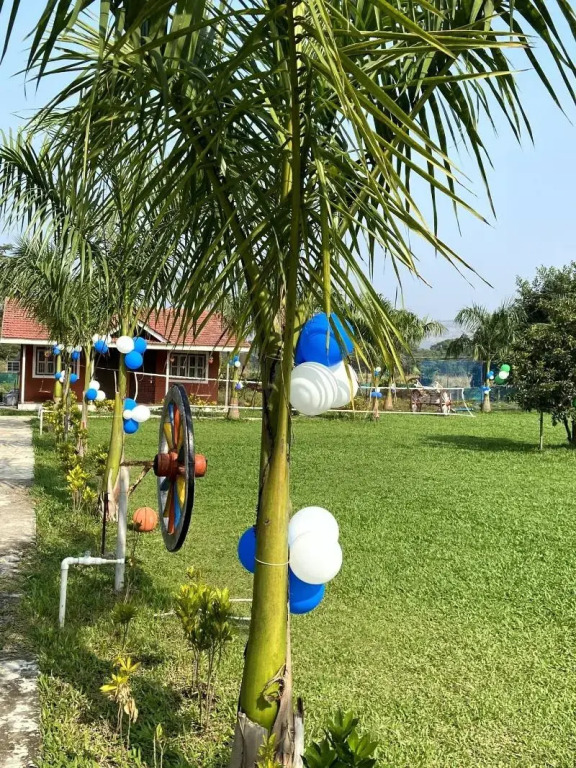 Mango Tree Farm