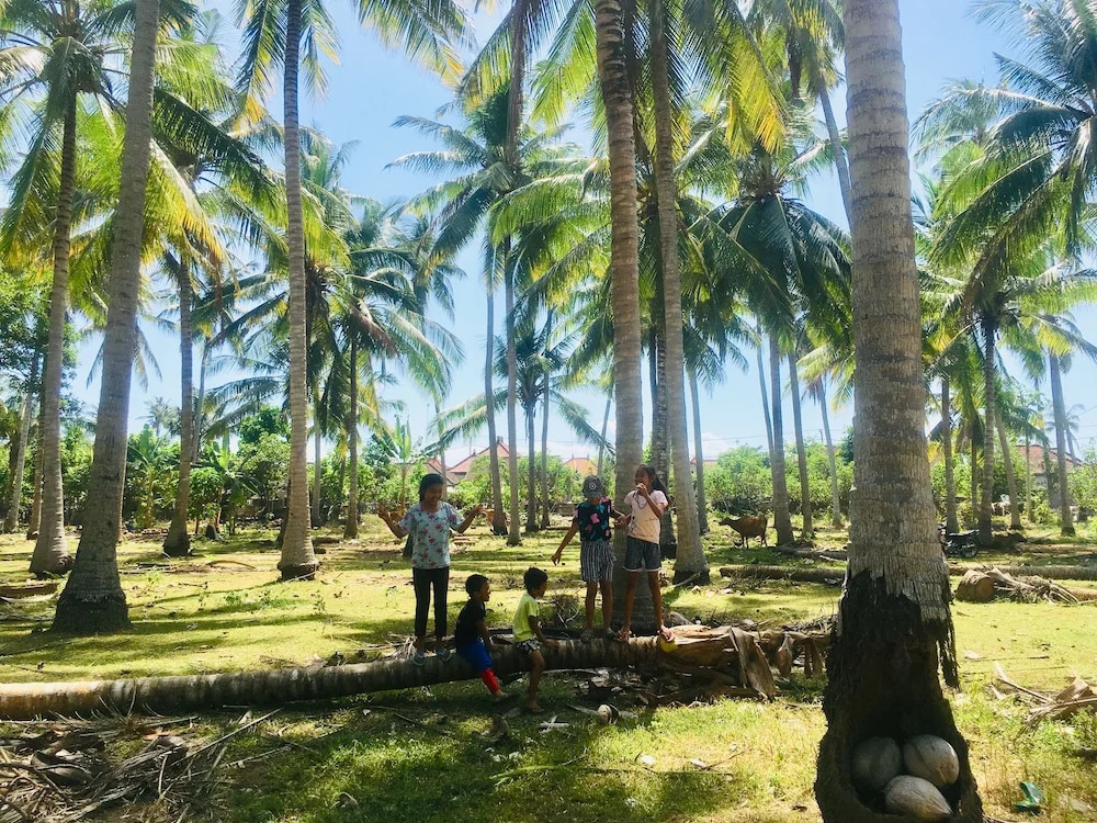 The Vagary Vibes