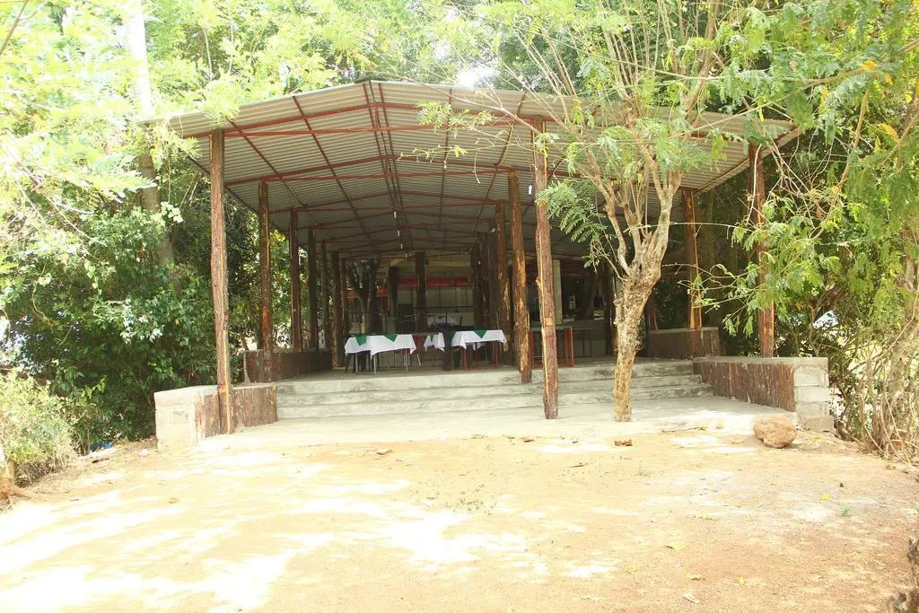 Pines Hut