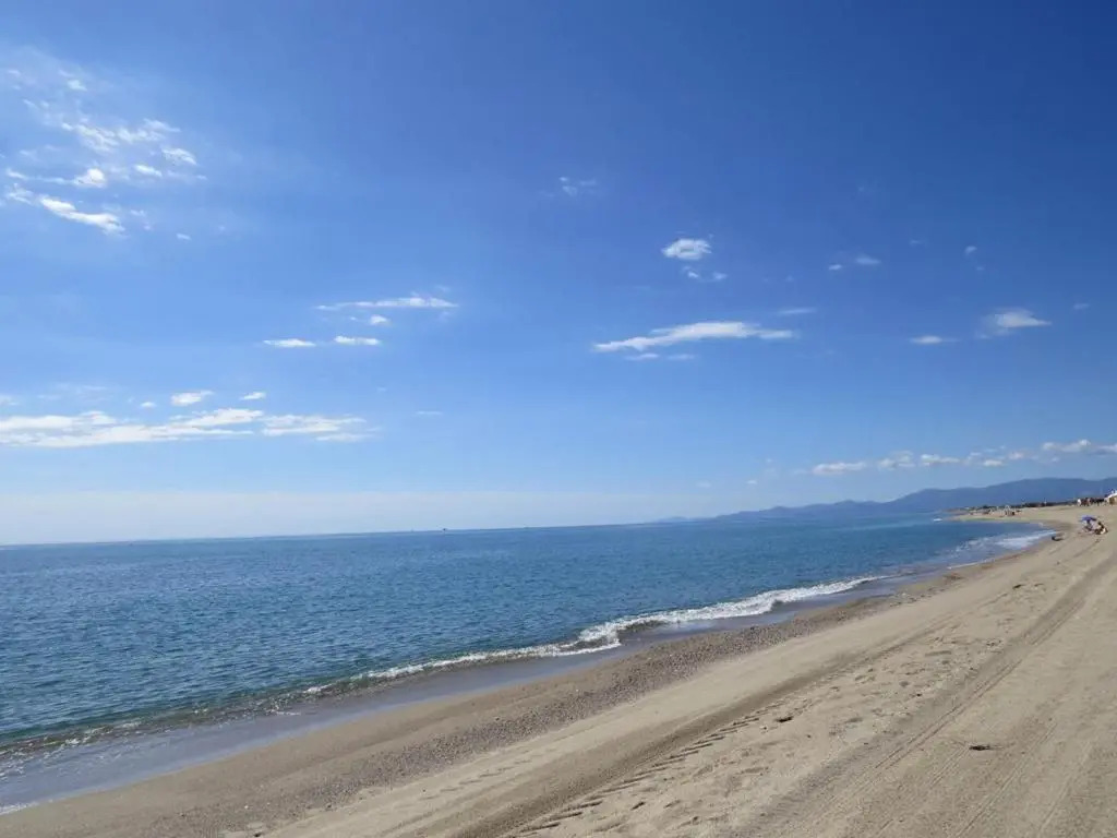 Superbe Appartement T3 - 6 Personnes - 100 m de la plage - Piscine- 6ODYS405C