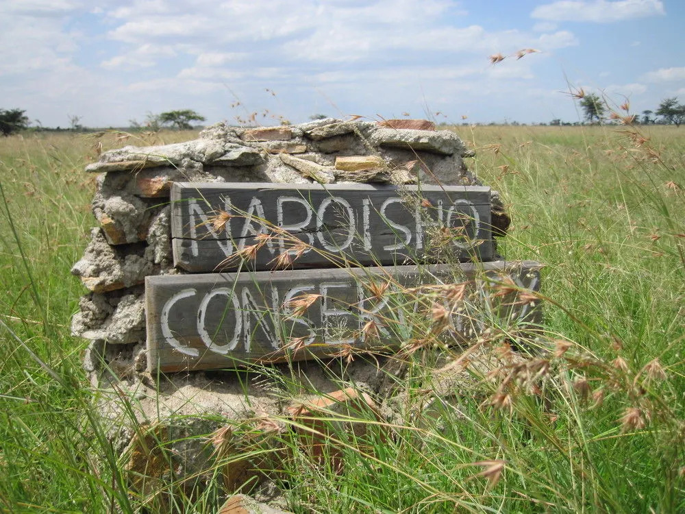 Naboisho Camp - All Inclusive