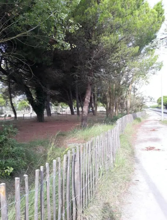 Nice 50 M2 With Veranda Near The Beach