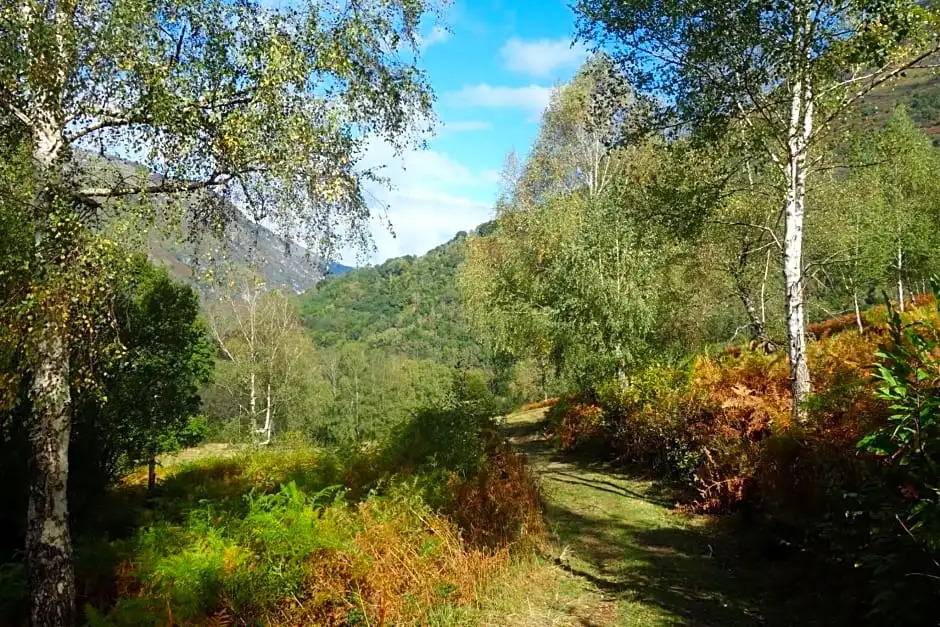 Montagne et Vie