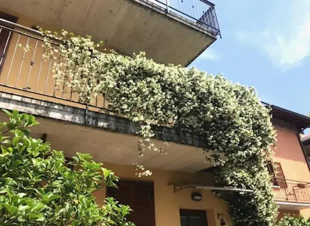 Residenza i Gelsomini