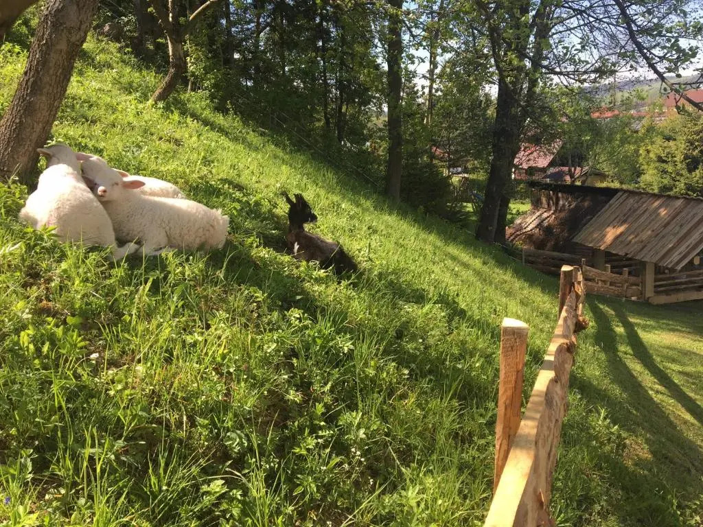 Chata Škerda - Zuberec