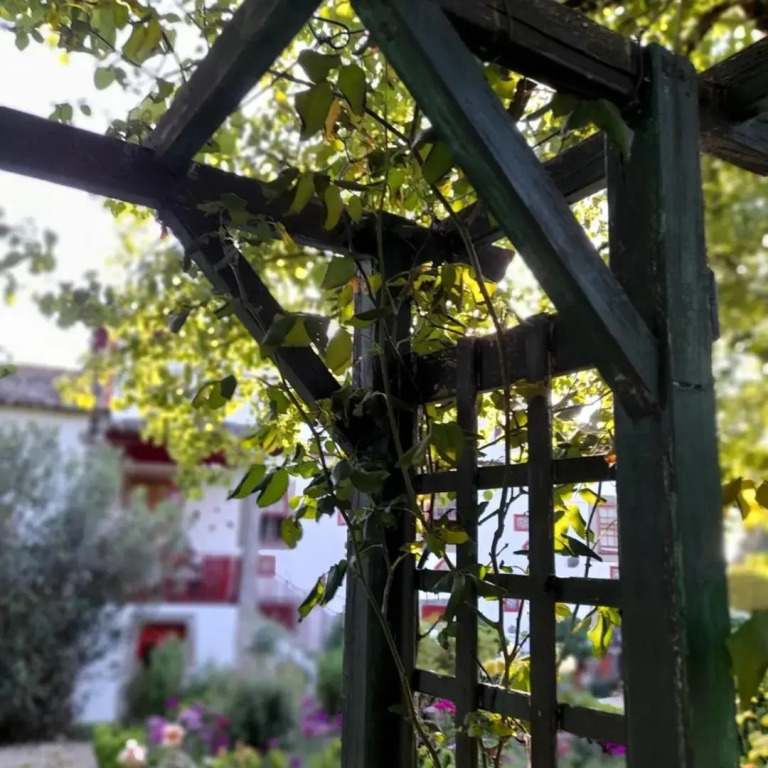 Quinta da Maínha Solar ALojamento local com piscina privada em Braga