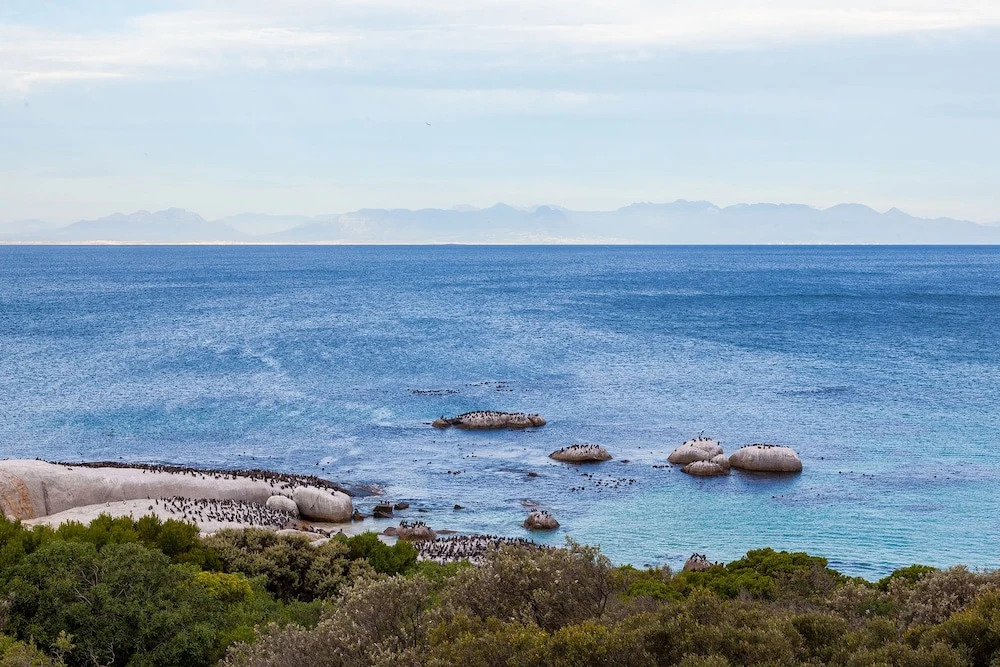 Tintswalo Boulders