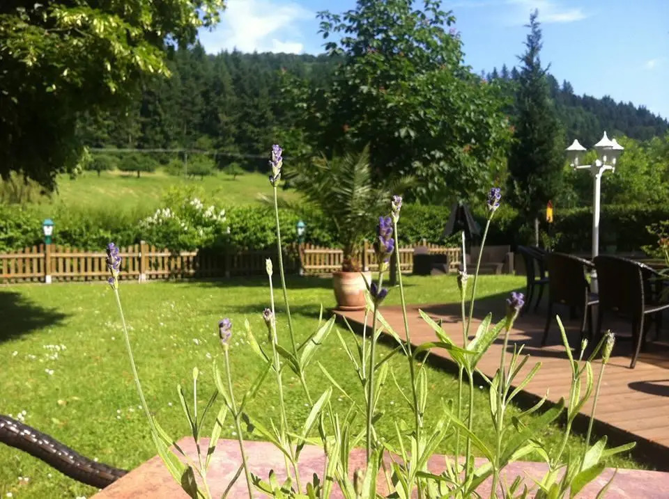 Landgasthof Hirsch