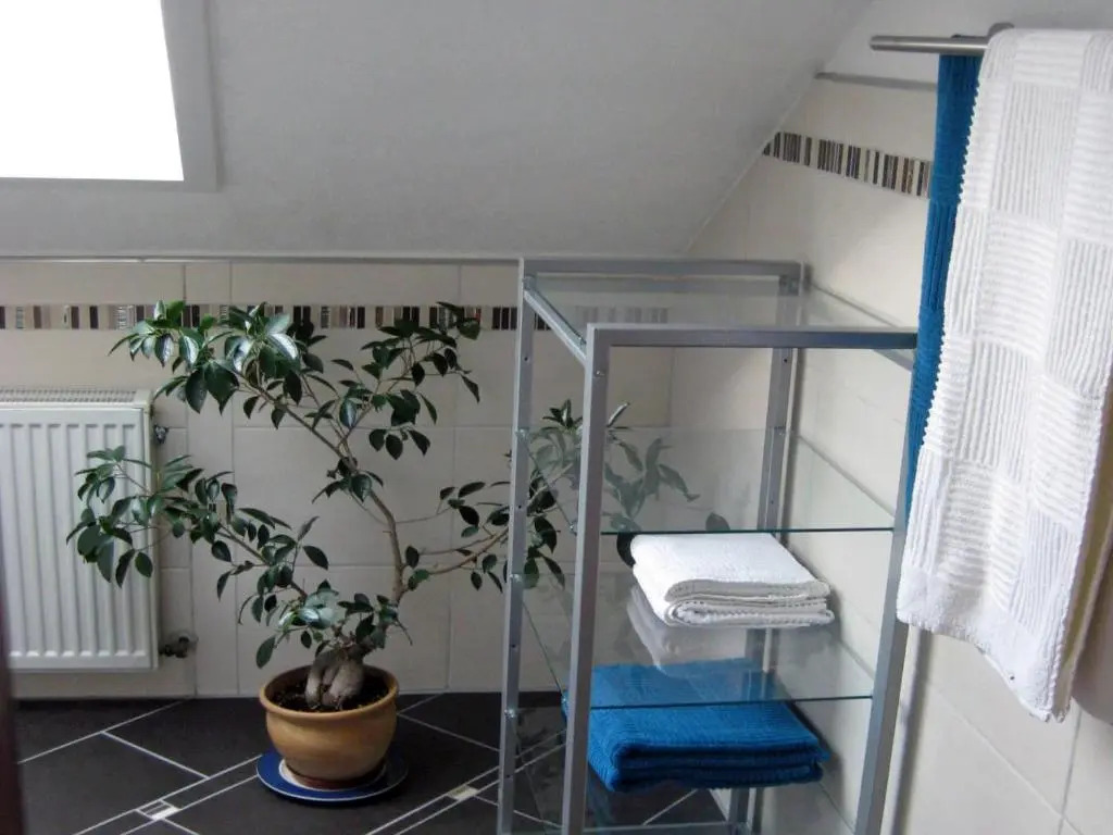 Eva und Wolf Apartments