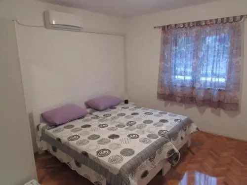 Room Bioci