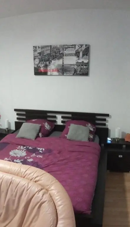 Charmant studio classé 3 étoiles au coeur de Niederbronn-les-Bains