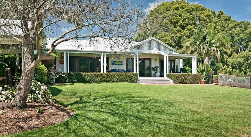 Cedia at Byron Bay Hinterland
