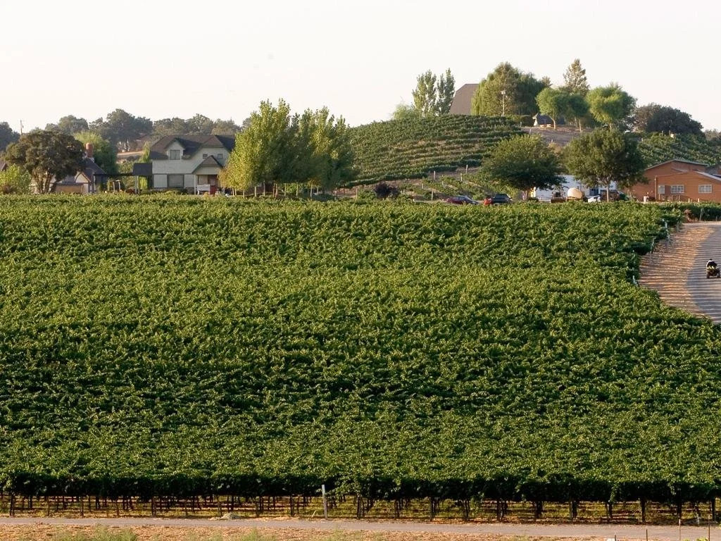 San Marcos Creek Vineyard & Winery