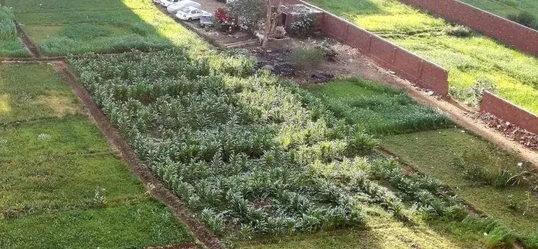 Easy Rental Serviced Apartment in Kornish El-Maadi