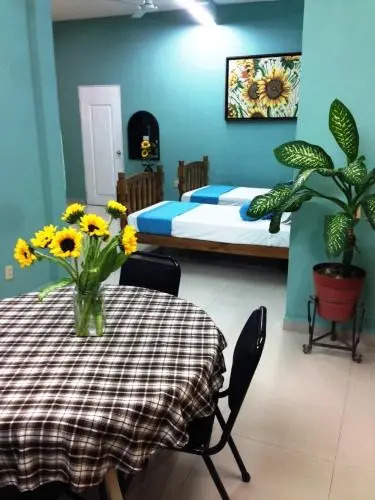 Casa las Flores