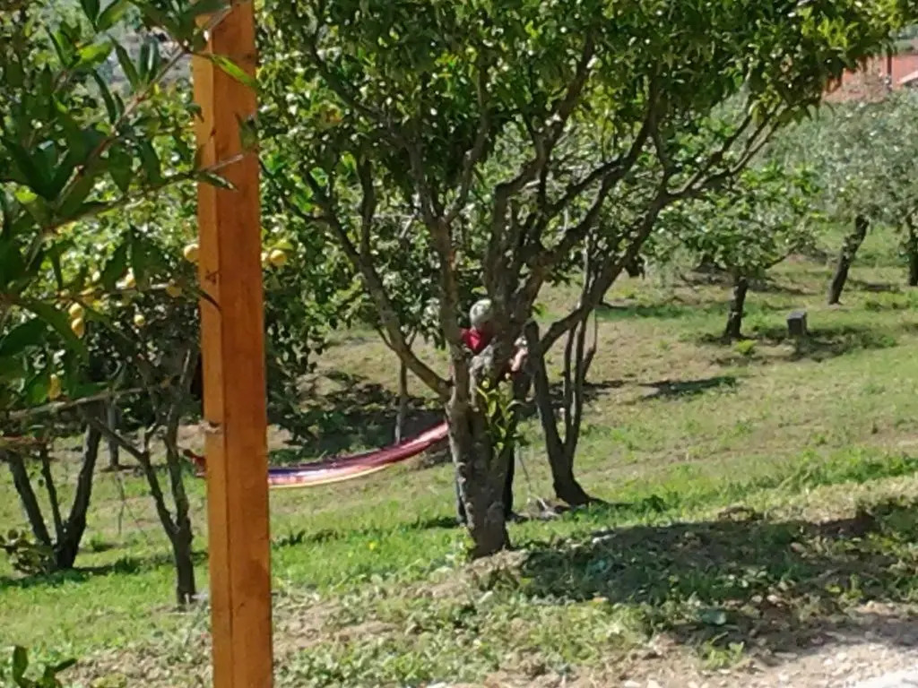 Zefiro Casa Vacanze